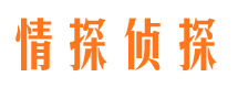 新邵外遇取证